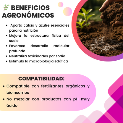 Sulfato de Calcio Premium Mineral – Corrector de calcio y azufre, mejorador de suelos y raíces