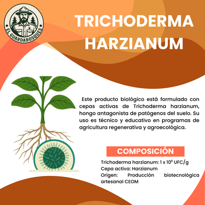 Trichoderma Harzianum – Fungicida biológico para control de patógenos del suelo y estimulación radicular