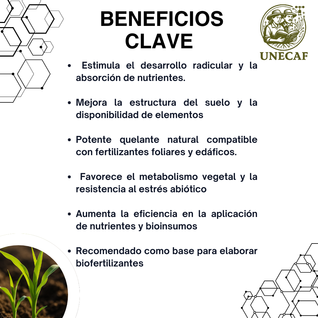 Ácidos Húmicos, Fúlvicos y Carboxílicos Granel – Bioestimulante líquido concentrado para mejorar suelo, raíces y absorción de nutrientes