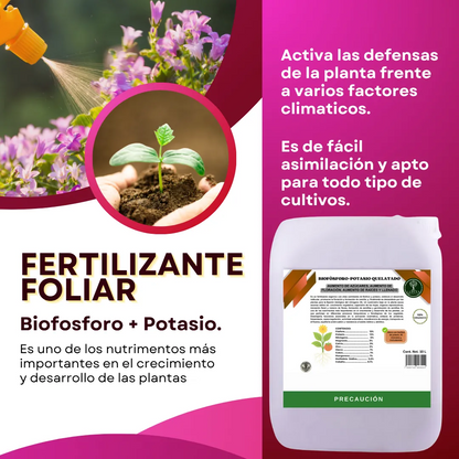 Biofósforo + Potasio Quelatado – Biofermentado mineral con microorganismos activados para raíces, floración y cuajado