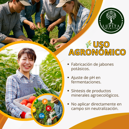 Hidróxido de Potasio – Insumo técnico para jabones potásicos y formulaciones minerales