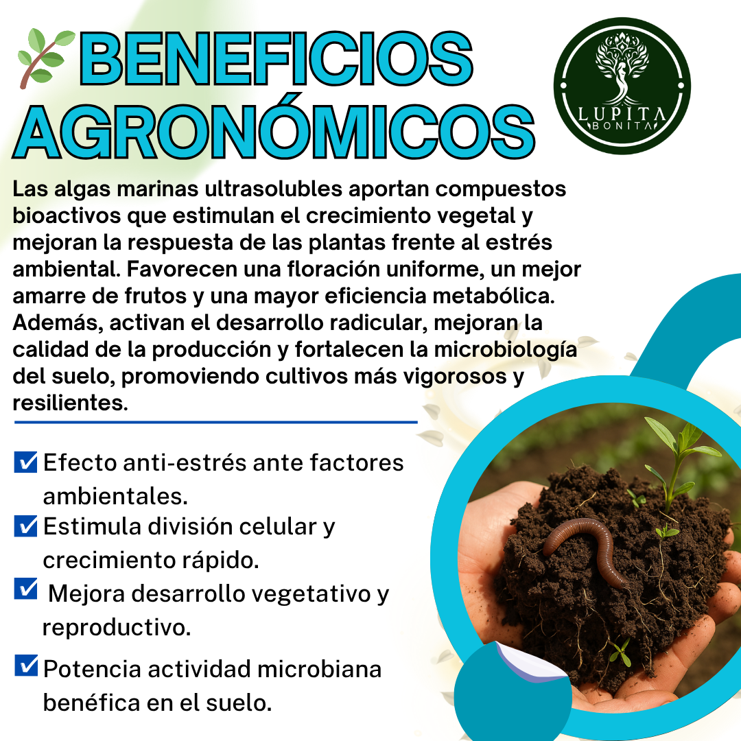Algas Marinas Puros Ultrasolubles – Bioestimulante natural anti-estrés y promotor del crecimiento