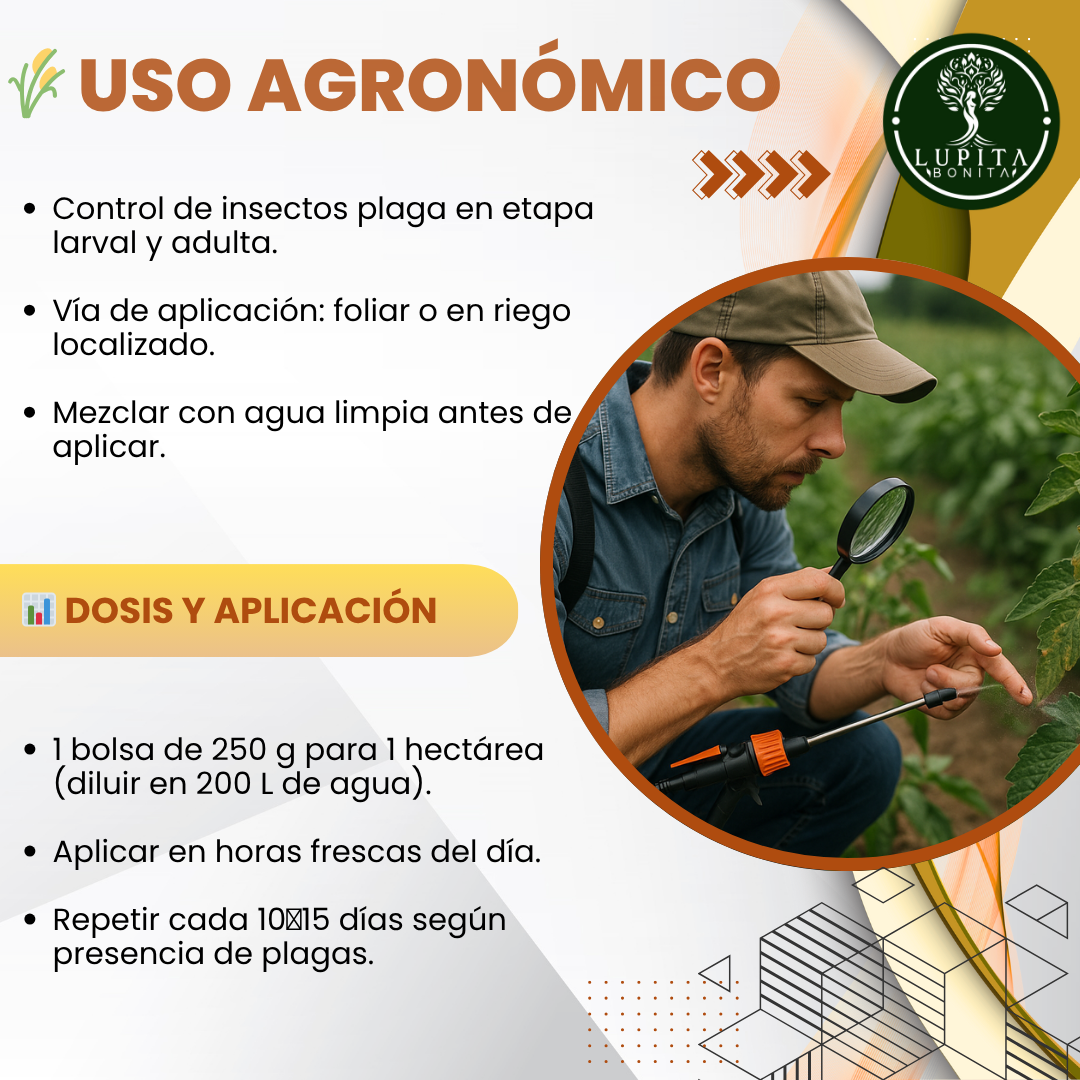 Beauveria + Metarhizium – Bioinsecticida fúngico para control agroecológico de plagas