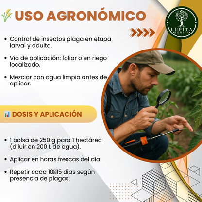 Beauveria + Metarhizium – Bioinsecticida fúngico para control agroecológico de plagas