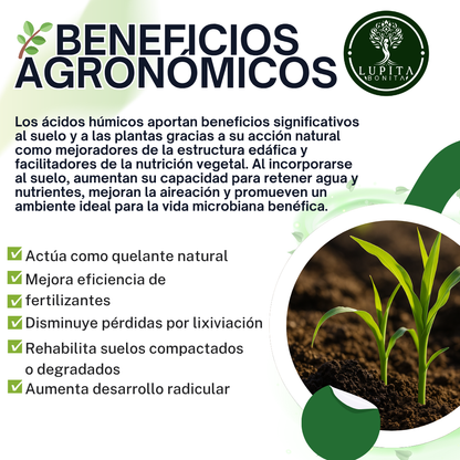 Ácidos Húmicos Puros Ultrasolubles – Extracto húmico concentrado para suelos fértiles y cultivos vigorosos