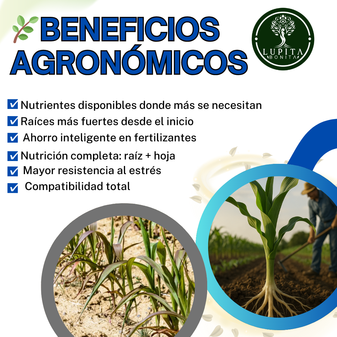 Ácidos Carboxílicos Concentrado Ultrasoluble – Bioactivador radicular y movilizador de nutrientes ultrasoluble en polvo