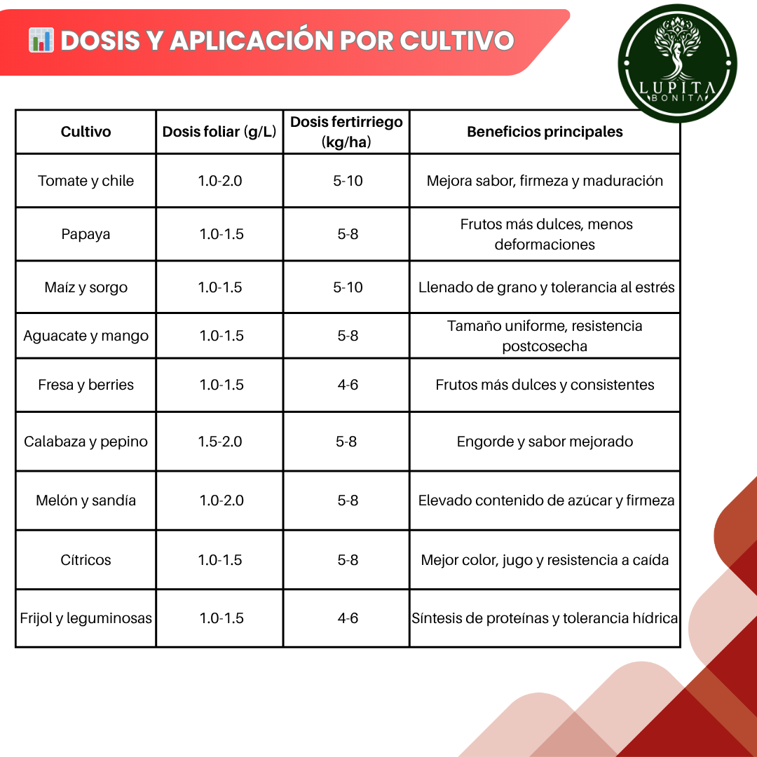 Sulfato de Potasio Ultrasoluble Concentrado – Fertilizante mineral para maduración, engorde y resistencia vegetal