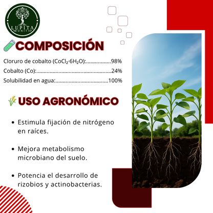 Cloruro de Cobalto Ultrasoluble Concentrado – Microelemento para fijación biológica de nitrógeno y salud microbiana