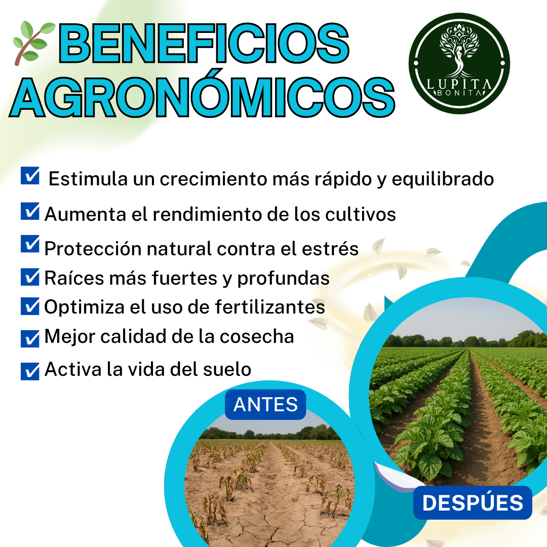 Algas Marinas Puros Ultrasolubles – Bioestimulante natural anti-estrés y promotor del crecimiento