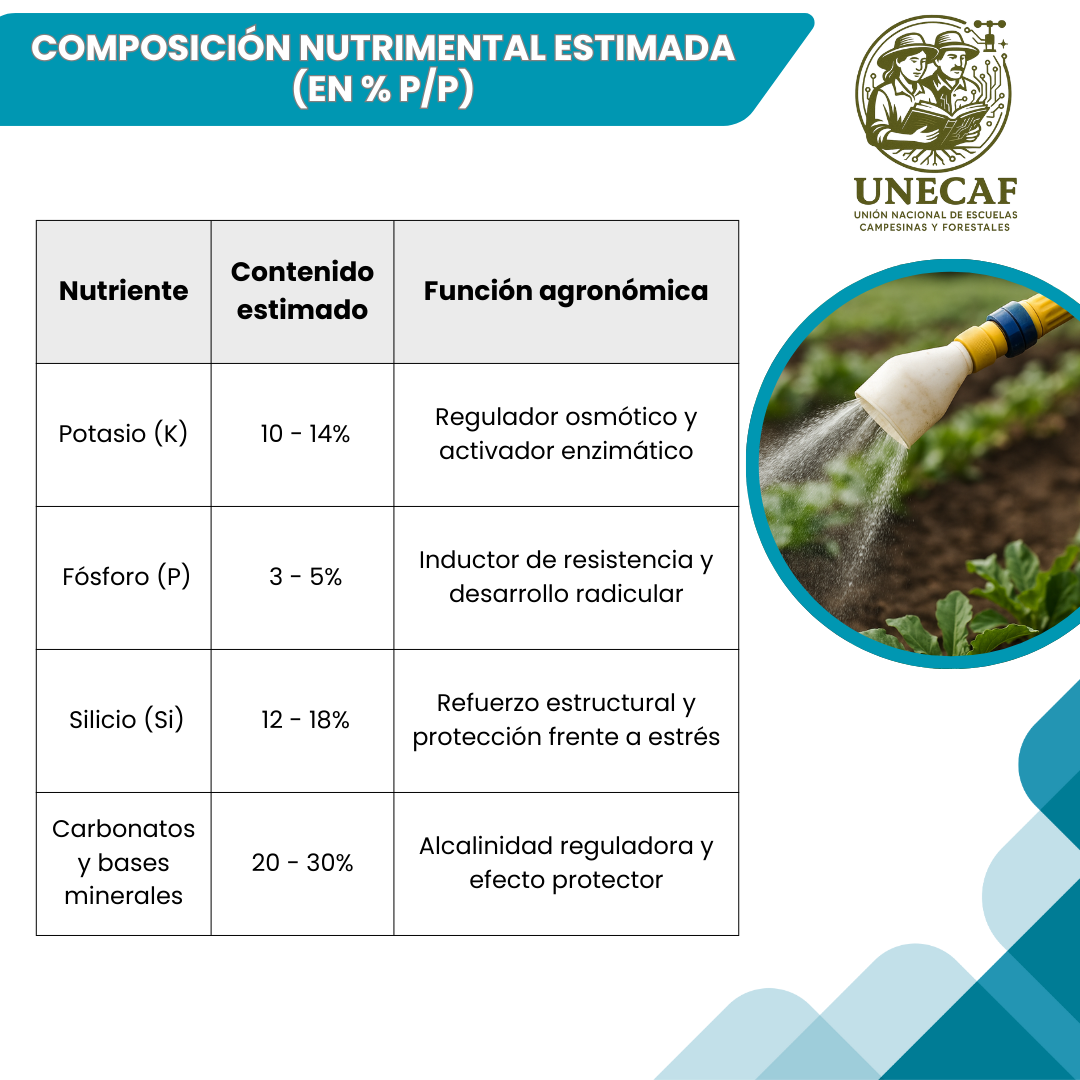 Agua de Vidrio con Fosfitos – Kit en polvo concentrado para preparar bioinsumo alcalino con silicio, potasio y fósforo (100 L)