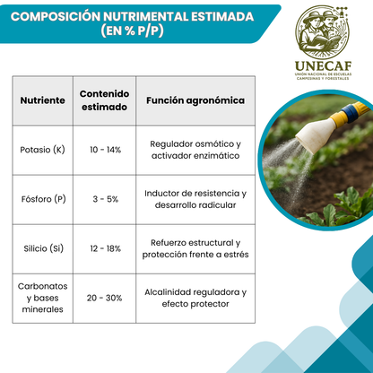 Agua de Vidrio con Fosfitos – Kit en polvo concentrado para preparar bioinsumo alcalino con silicio, potasio y fósforo (100 L)