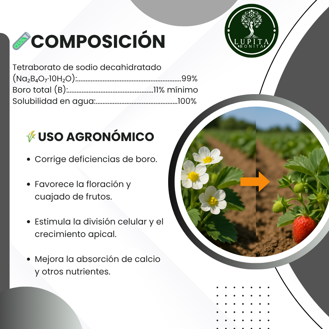 Bórax Ultrasoluble Concentrado – Corrector de deficiencias de boro para floración y cuajado de frutos