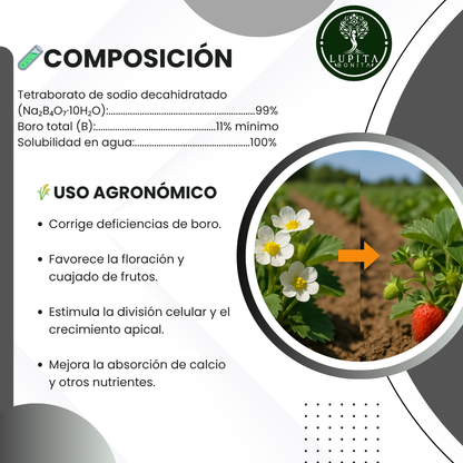Bórax Ultrasoluble Concentrado – Corrector de deficiencias de boro para floración y cuajado de frutos