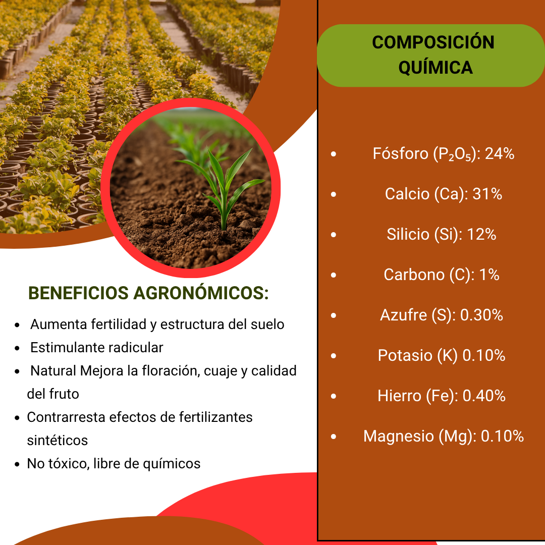Roca Fosfórica Más Fósforo – Fuente natural de fósforo de liberación lenta para suelos agotados