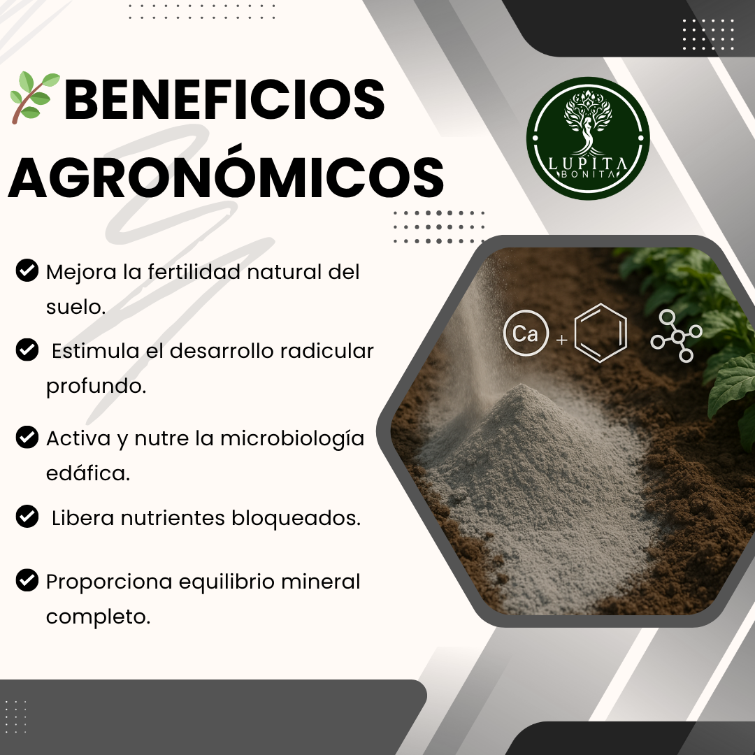Harina de Roca Ponche de Minerales – Remineralizador de suelos con aporte multielemental natural