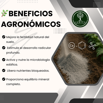 Harina de Roca Ponche de Minerales – Remineralizador de suelos con aporte multielemental natural