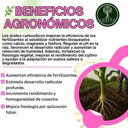 Ácidos Carboxílicos Puros Ultrasolubles – Bioestimulante y regenerador del suelo con efecto complejante