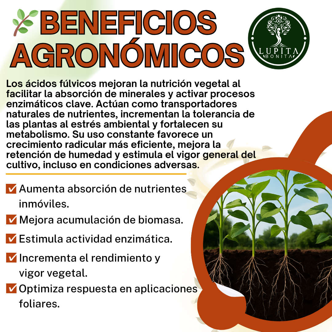 Ácidos Fúlvicos Puros Ultrasolubles – Complejo bioquímico para nutrición vegetal y gestión del estrés