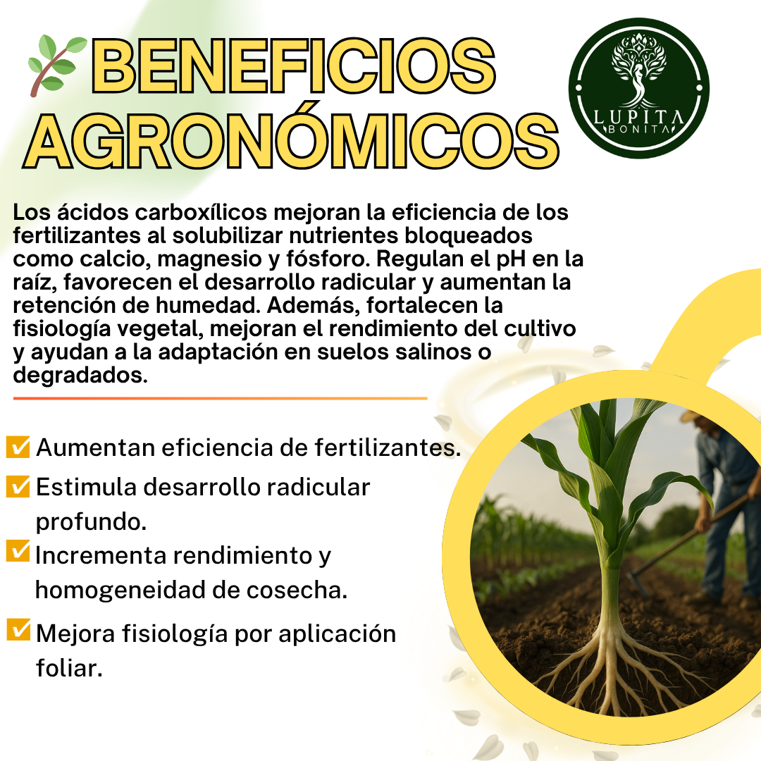 Aminoácidos Puros Ultrasolubles – Bioestimulante con absorción inmediata para cultivos vigorosos