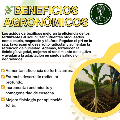 Aminoácidos Puros Ultrasolubles – Bioestimulante con absorción inmediata para cultivos vigorosos
