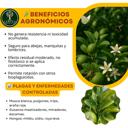 Aceite de Neem al 50% – Insecticida y antifúngico natural de amplio espectro