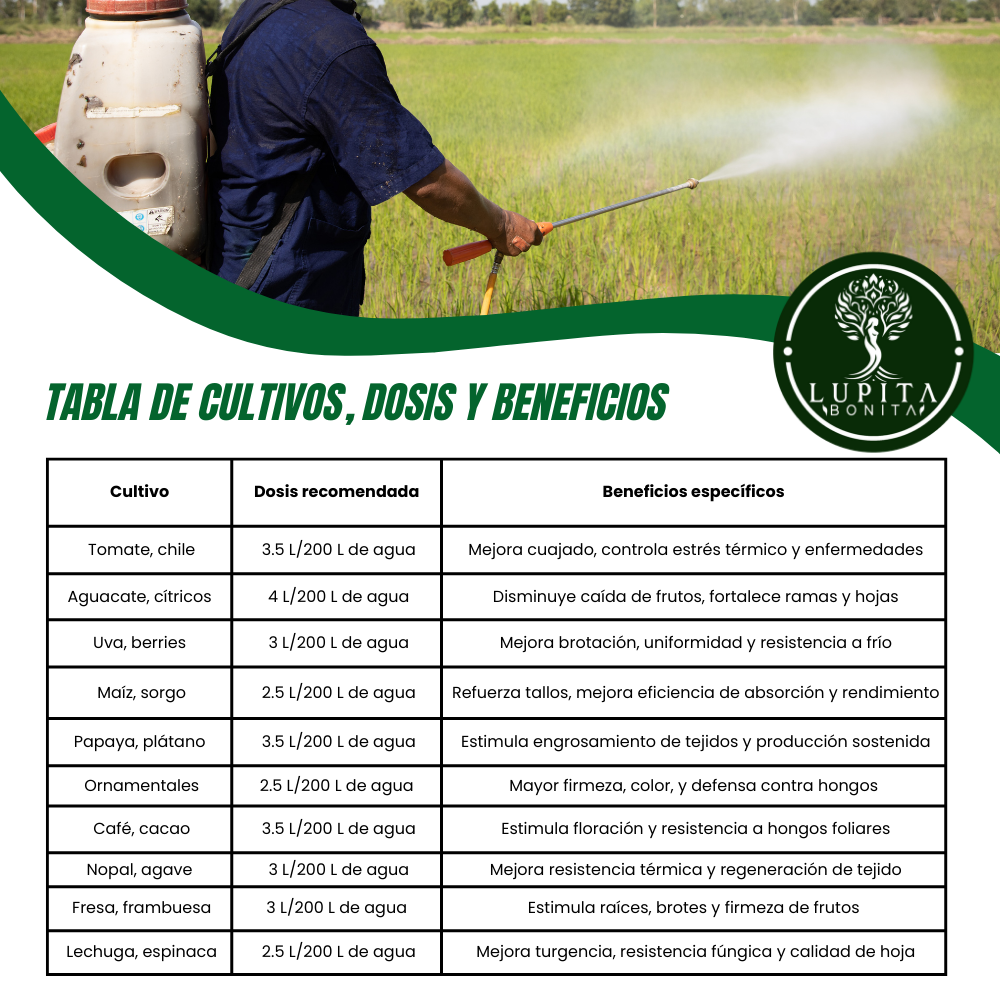 Jabón Potásico Amor Verde – Bioestimulante foliar con potasio, silicio, titanio y selenio para sanidad y resiliencia de cultivos