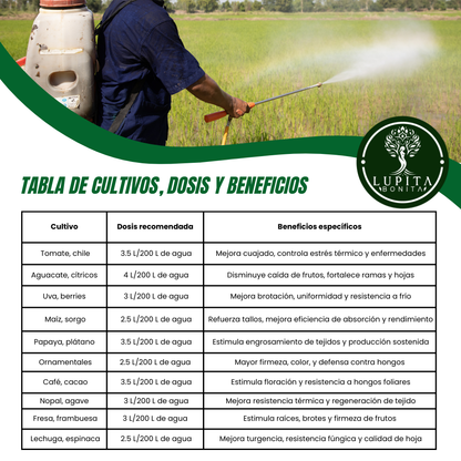 Jabón Potásico Amor Verde – Bioestimulante foliar con potasio, silicio, titanio y selenio para sanidad y resiliencia de cultivos