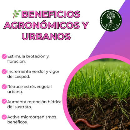 LupiOrnamentales y Césped – Fertilizante orgánico-mineral fermentado para jardines y pasto