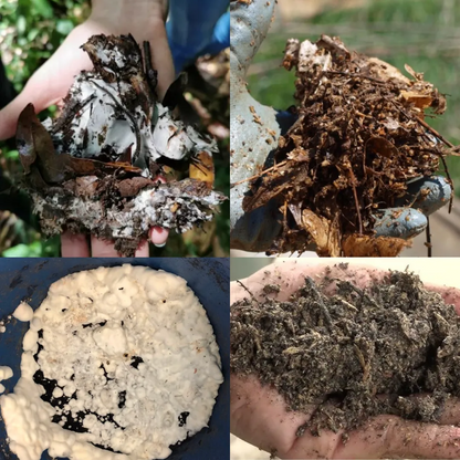 Microorganismos Sólidos de Montaña Ponche Benéfico – Inoculante sólido multiespecie para regeneración de suelos y compostas