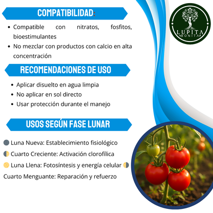 Nitrato de Magnesio Ultrasoluble Concentrado – Fertilizante soluble con magnesio y nitrógeno nítrico para fotosíntesis y vigor vegetal