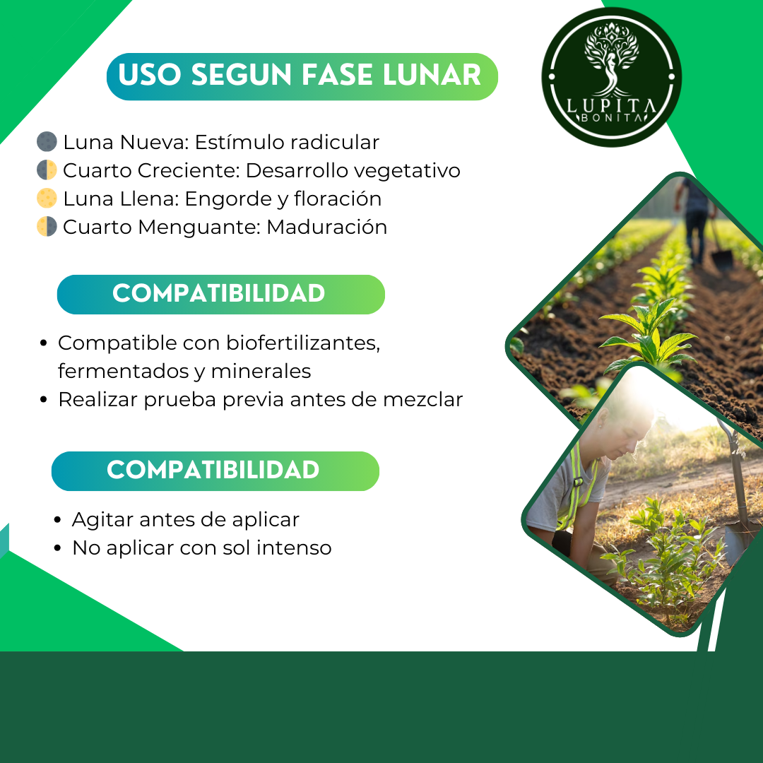 Jabón Potásico Yodo Verde – Insecticida, fungicida y bioestimulante con yodo y potasio para sanidad integral de cultivos