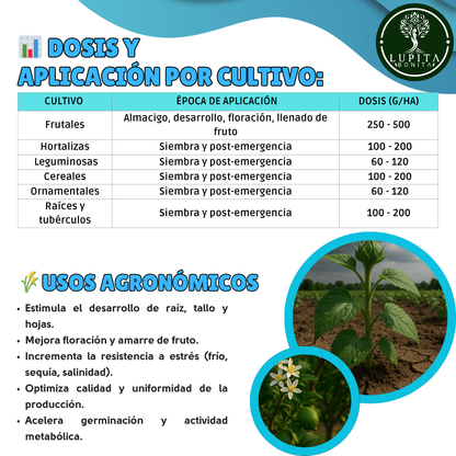 Algas Marinas Puros Ultrasolubles – Bioestimulante natural anti-estrés y promotor del crecimiento