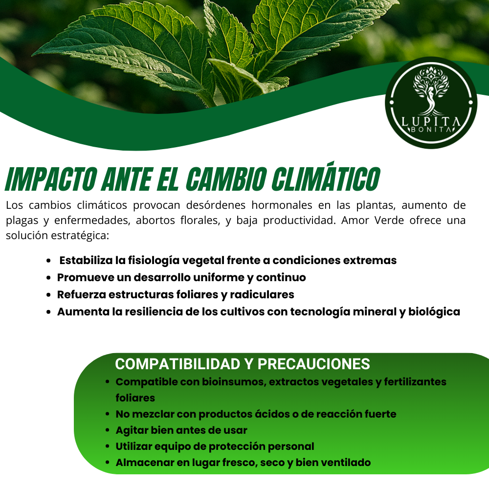 Jabón Potásico Amor Verde – Bioestimulante foliar con potasio, silicio, titanio y selenio para sanidad y resiliencia de cultivos