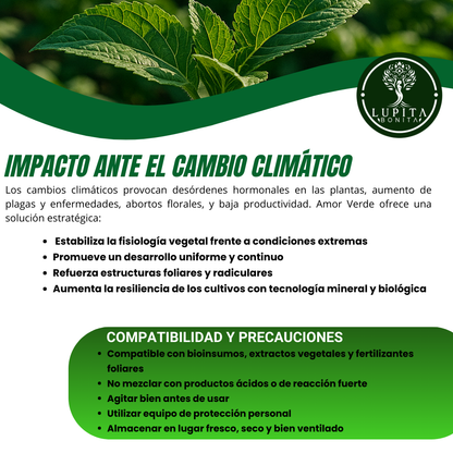 Jabón Potásico Amor Verde – Bioestimulante foliar con potasio, silicio, titanio y selenio para sanidad y resiliencia de cultivos