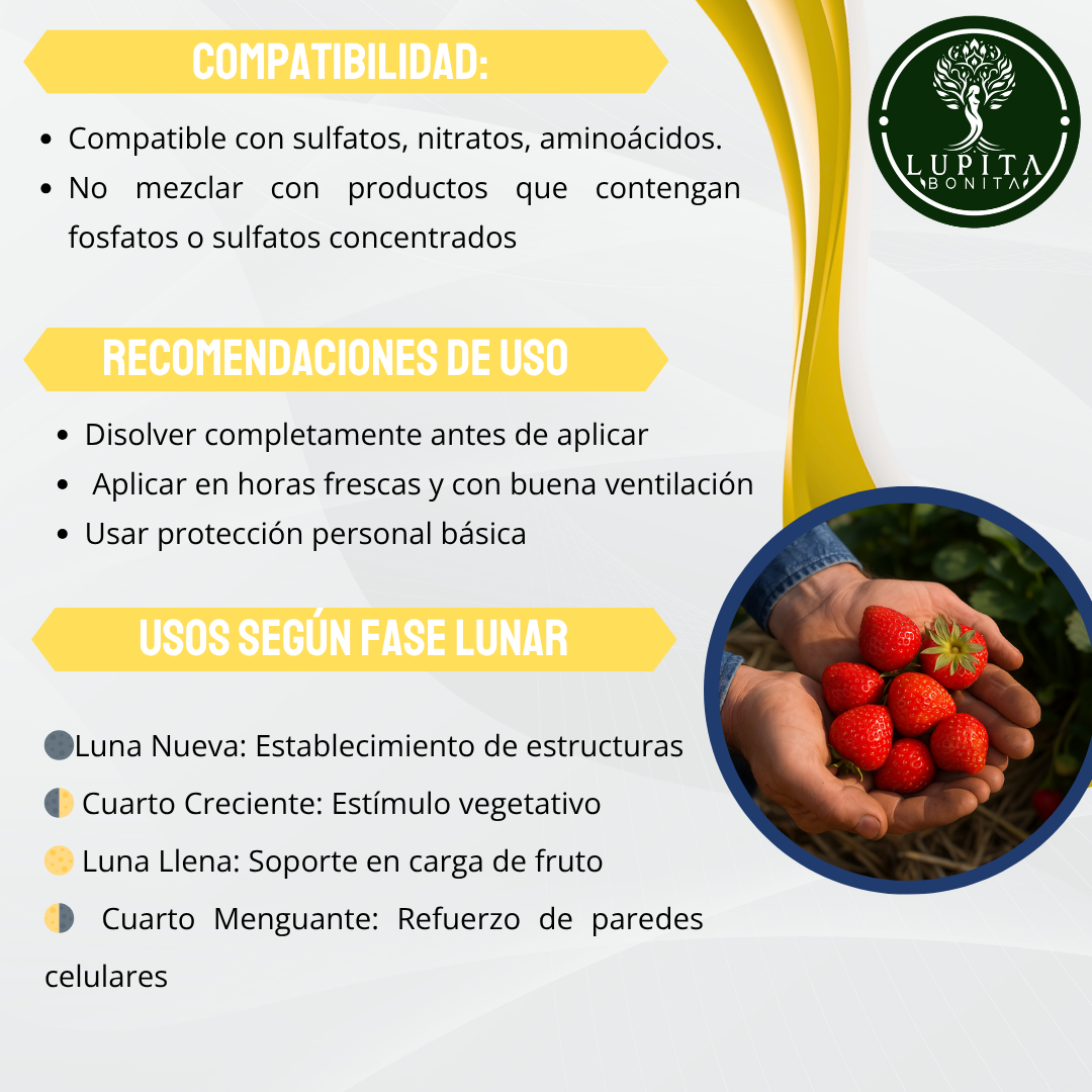 Nitrato de Calcio Ultrasoluble Concentrado – Fuente soluble de calcio y nitrógeno para firmeza de frutos y crecimiento vigoroso
