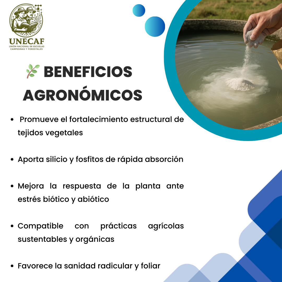 Agua de Vidrio con Fosfitos – Kit en polvo concentrado para preparar bioinsumo alcalino con silicio, potasio y fósforo (100 L)