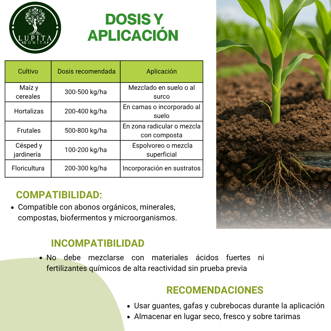 Zeolita Clinoptilolita Extra Absorbente – Mineral volcánico para retención de agua y nutrientes