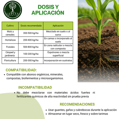 Zeolita Clinoptilolita Extra Absorbente – Mineral volcánico para retención de agua y nutrientes