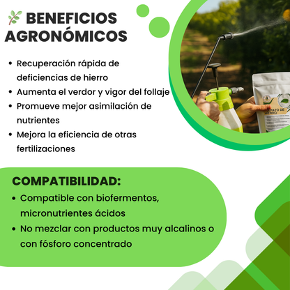 Sulfato de Hierro Ultrasoluble Concentrado – Corrector de clorosis y fuente de hierro para cultivos