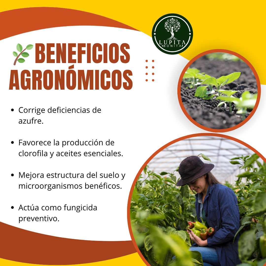 Azufre Ultrasoluble Concentrado – Corrector de suelos y bioestimulante preventivo contra hongos