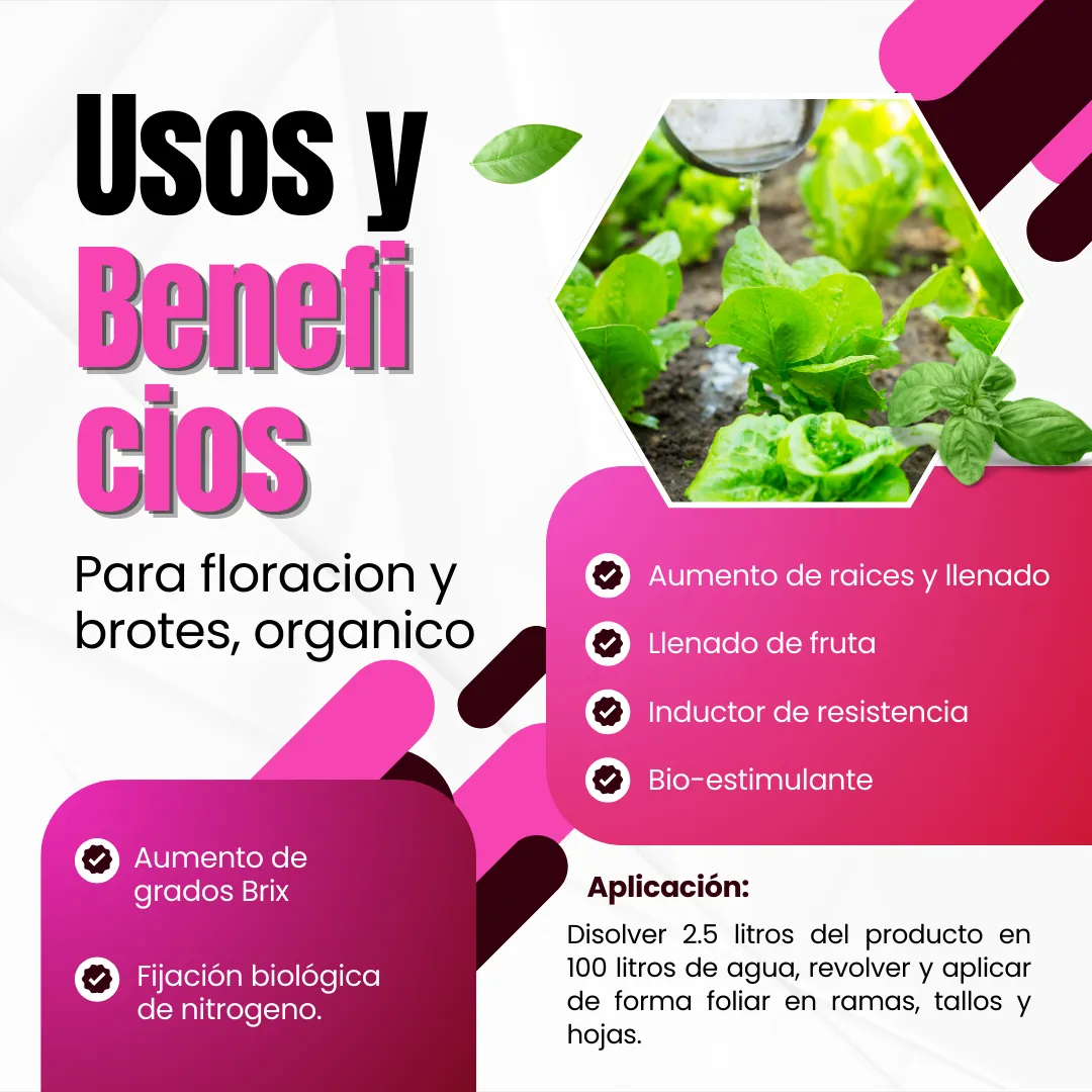Biofósforo + Potasio Quelatado – Biofermentado mineral con microorganismos activados para raíces, floración y cuajado