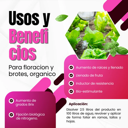 Biofósforo + Potasio Quelatado – Biofermentado mineral con microorganismos activados para raíces, floración y cuajado