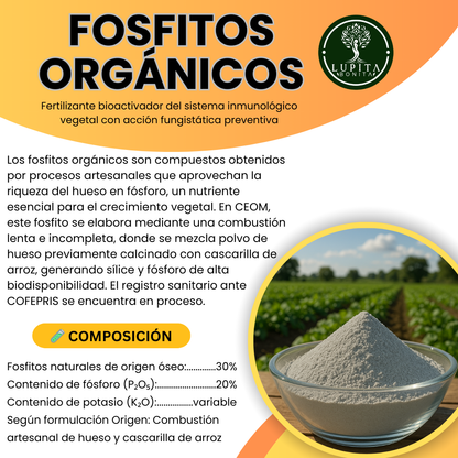 Fosfitos Orgánicos – Bioactivador vegetal con acción fungistática preventiva