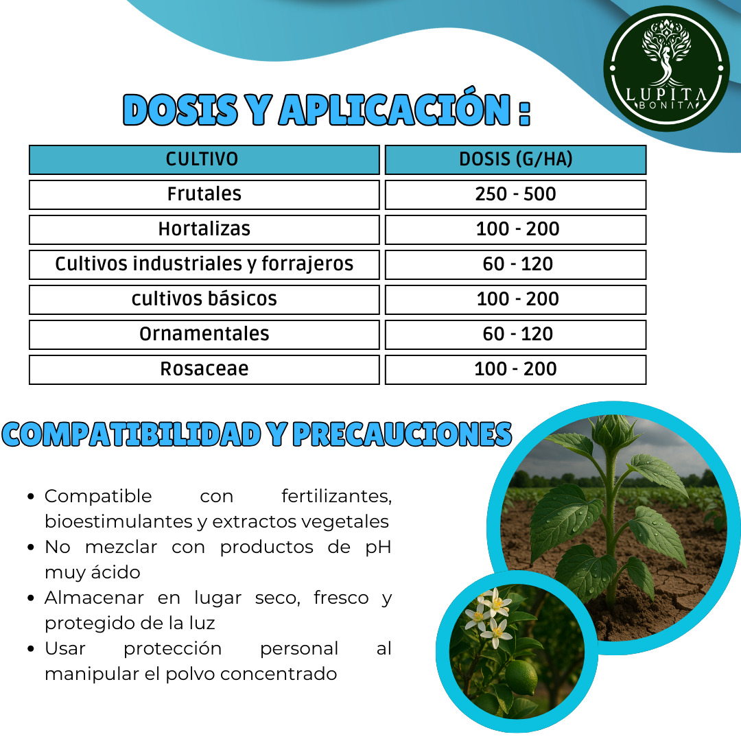 Algas Marinas Puros Ultrasolubles – Bioestimulante natural anti-estrés y promotor del crecimiento