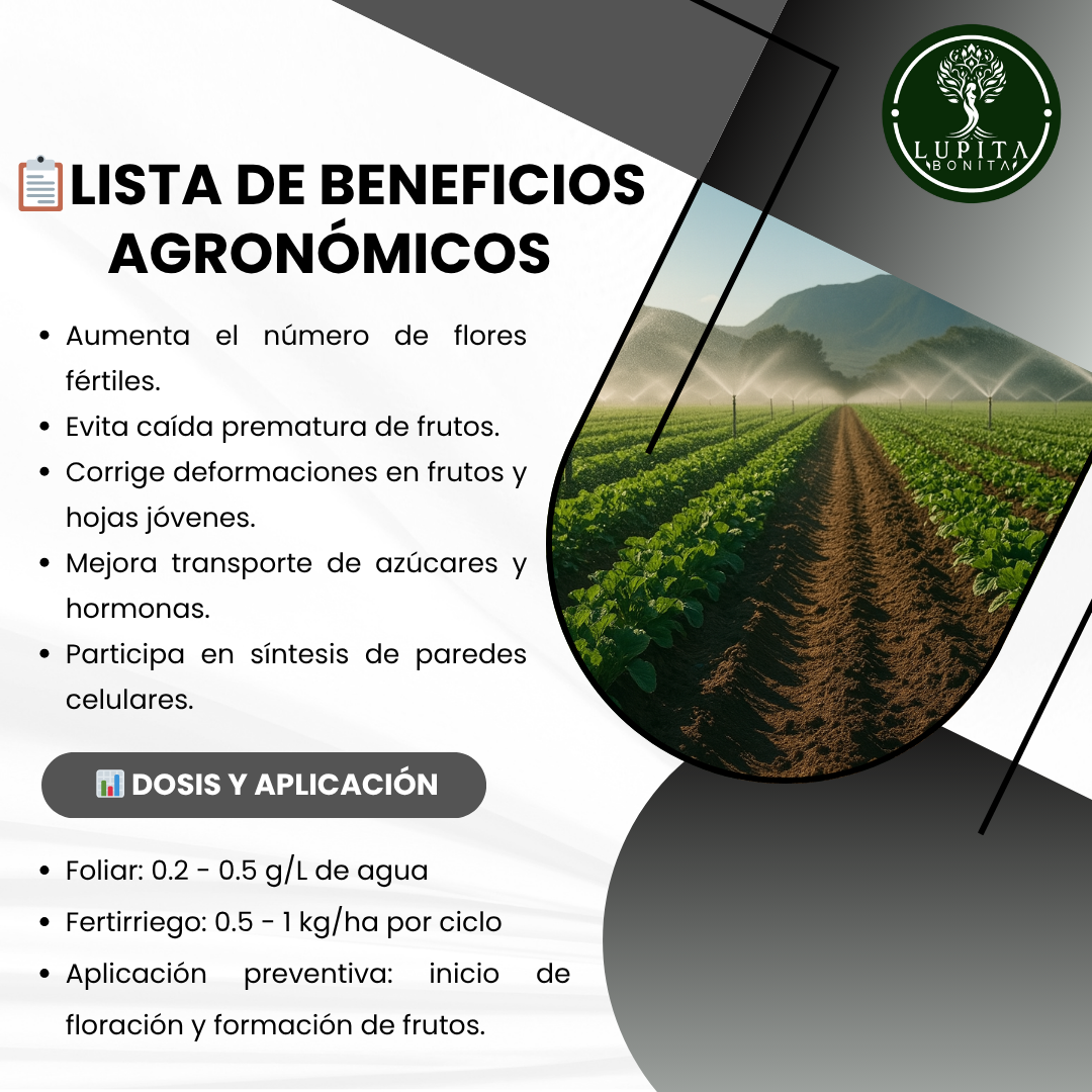 Bórax Ultrasoluble Concentrado – Corrector de deficiencias de boro para floración y cuajado de frutos
