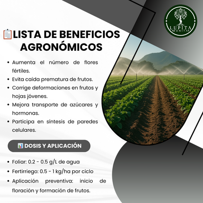 Bórax Ultrasoluble Concentrado – Corrector de deficiencias de boro para floración y cuajado de frutos