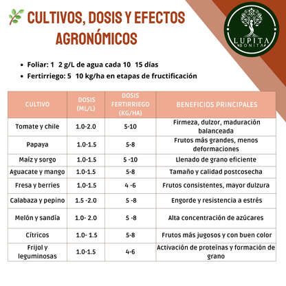 Nitrato de Potasio Ultrasoluble Concentrado – Fertilizante soluble con potasio y nitrógeno nítrico para fructificación, engorde y calidad de frutos
