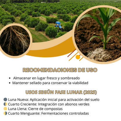 Microorganismos Sólidos de Montaña Ponche Benéfico – Inoculante sólido multiespecie para regeneración de suelos y compostas