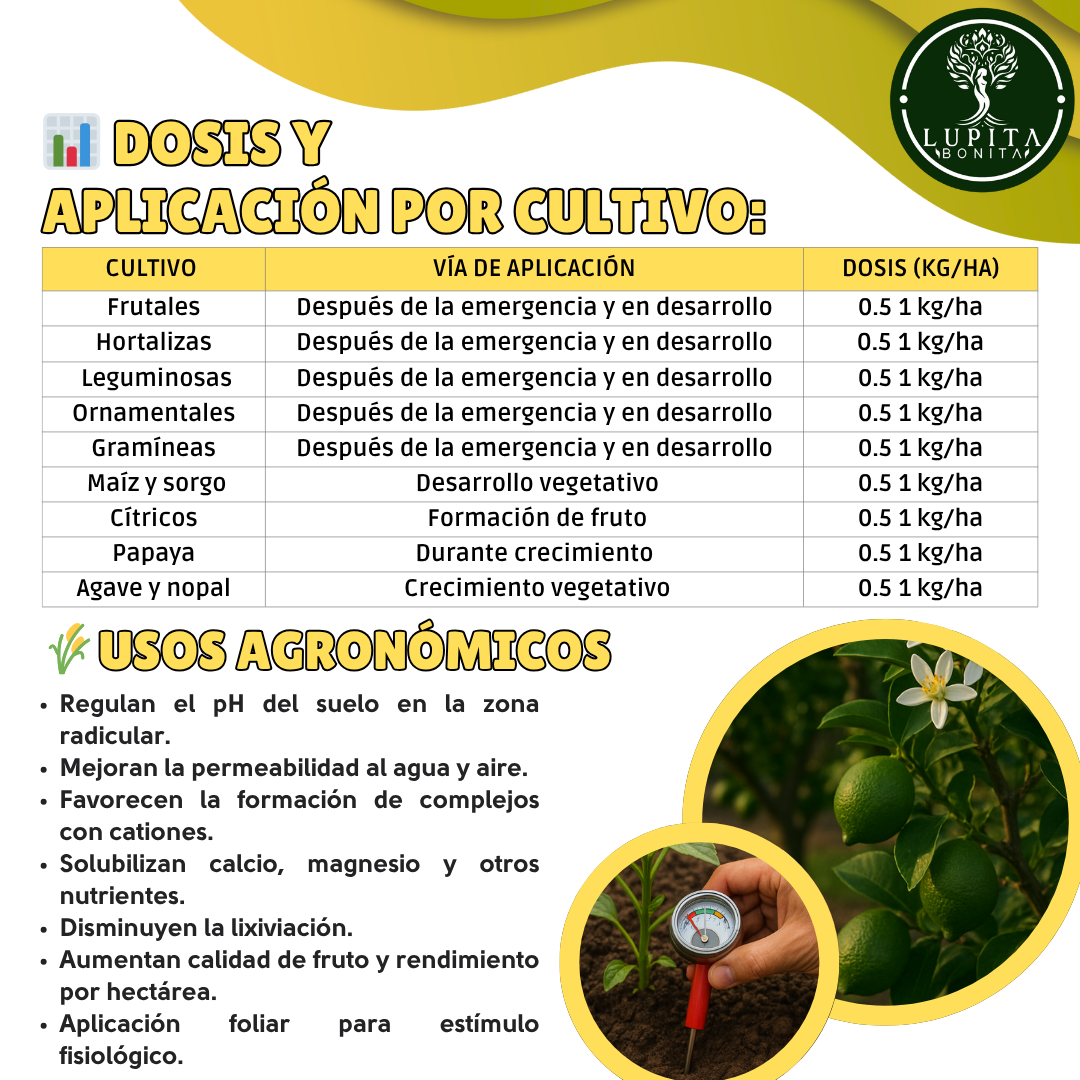 Aminoácidos Puros Ultrasolubles – Bioestimulante con absorción inmediata para cultivos vigorosos