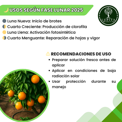 Sulfato de Hierro Ultrasoluble Concentrado – Corrector de clorosis y fuente de hierro para cultivos